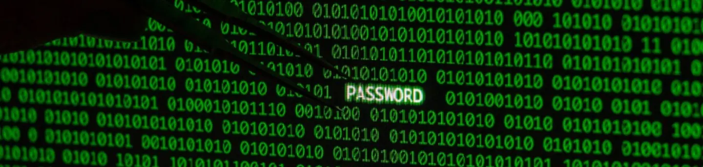 Ransomware Azov atakuje, a&nbsp;operatorzy wrabiają polską hakerkę