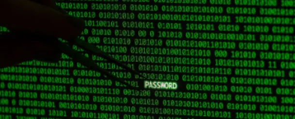 Ransomware Azov atakuje, a operatorzy wrabiają polską hakerkę