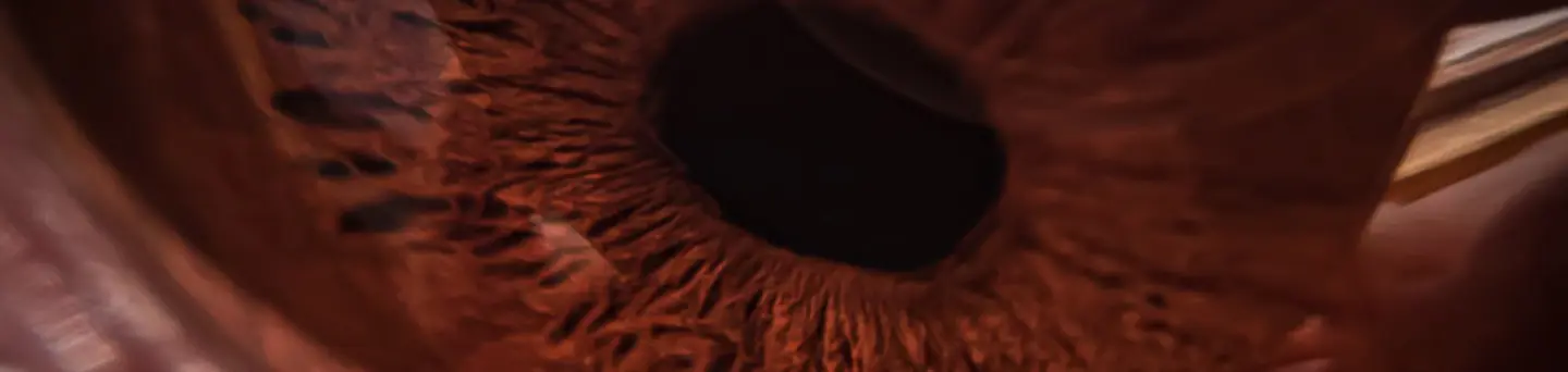 Wariant rosyjskiego botnetu Cyclops Blink na&nbsp;routery ASUS