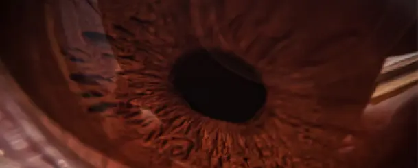Wariant rosyjskiego botnetu Cyclops Blink na routery ASUS