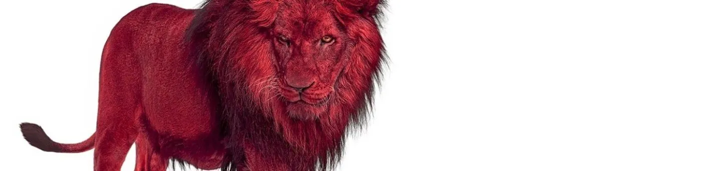Najnowsza wersja systemu operacyjnego WatchGuard Fireware