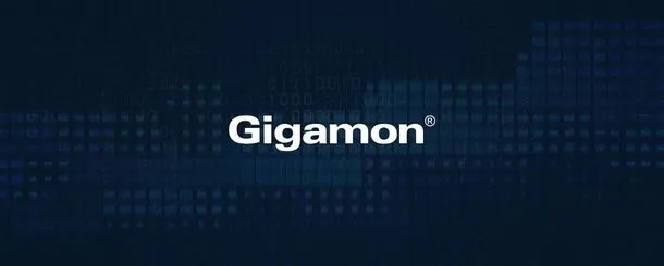 GIGAMON, Możesz chronić tylko co widzisz…