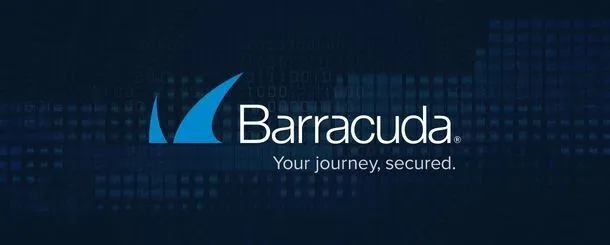 Barracuda backup - poznaj możliwości programu do skutecznego odtwarzania danych