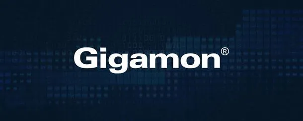 GIGAMON, Możesz chronić tylko co widzisz…