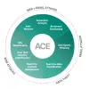 Forcepoint Web Security